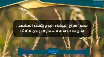 سعر الفراخ البيضاء اليوم يتصدر المشهد.. القائمة الكاملة لأسعار الدواجن الثلاثاء!